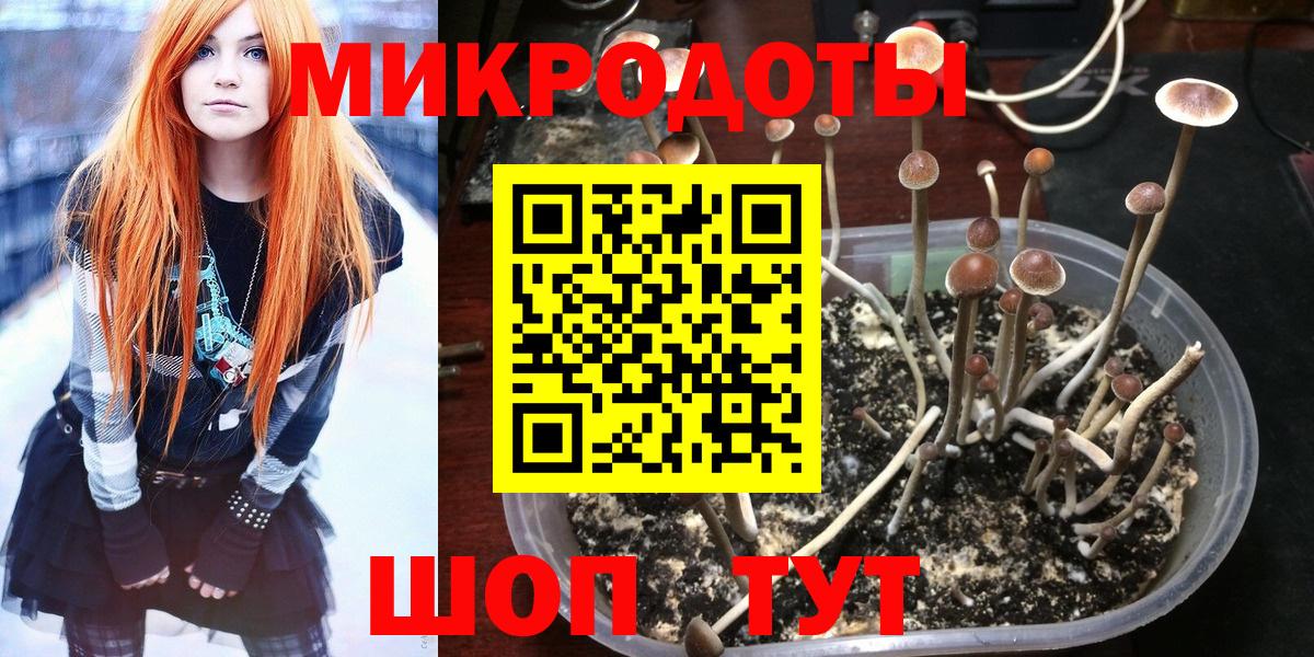 Псилоцибиновые грибы Cubensis  Вход с VPN  Чернушка 