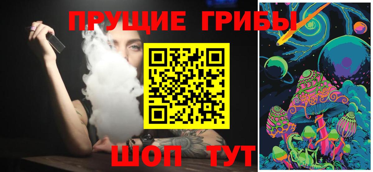 Псилоцибиновые грибы мицелий Чернушка